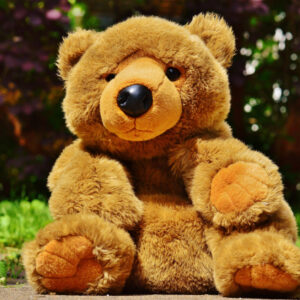 Teddy Bear Soft Toys